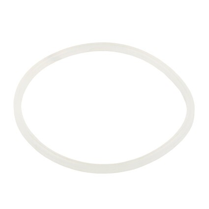 Уплотнительное кольцо AquaViva хлоратора SSC 2021044