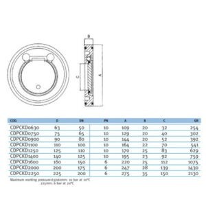 Обратный клапан межфланцевый EFFAST d125mm (CDPCKD1250)