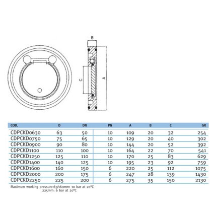 Обратный клапан межфланцевый EFFAST d125mm (CDPCKD1250)