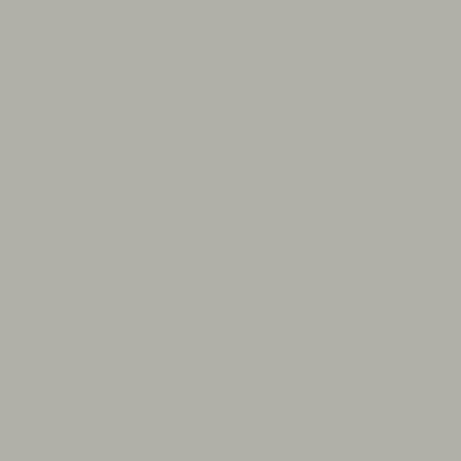 Плёнка ПВХ Ogenflex Unicolor Light grey 9135 (светло-серая)
